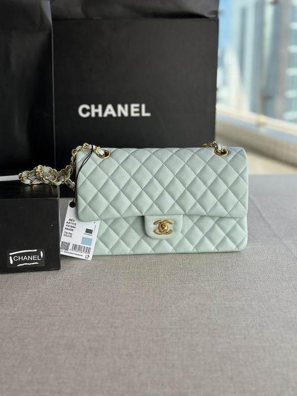 Chanel Handbags 316